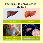 Charger l'image dans la galerie, Capsules détoxifiantes au chardon marie - Soutien et nettoyage du foie
